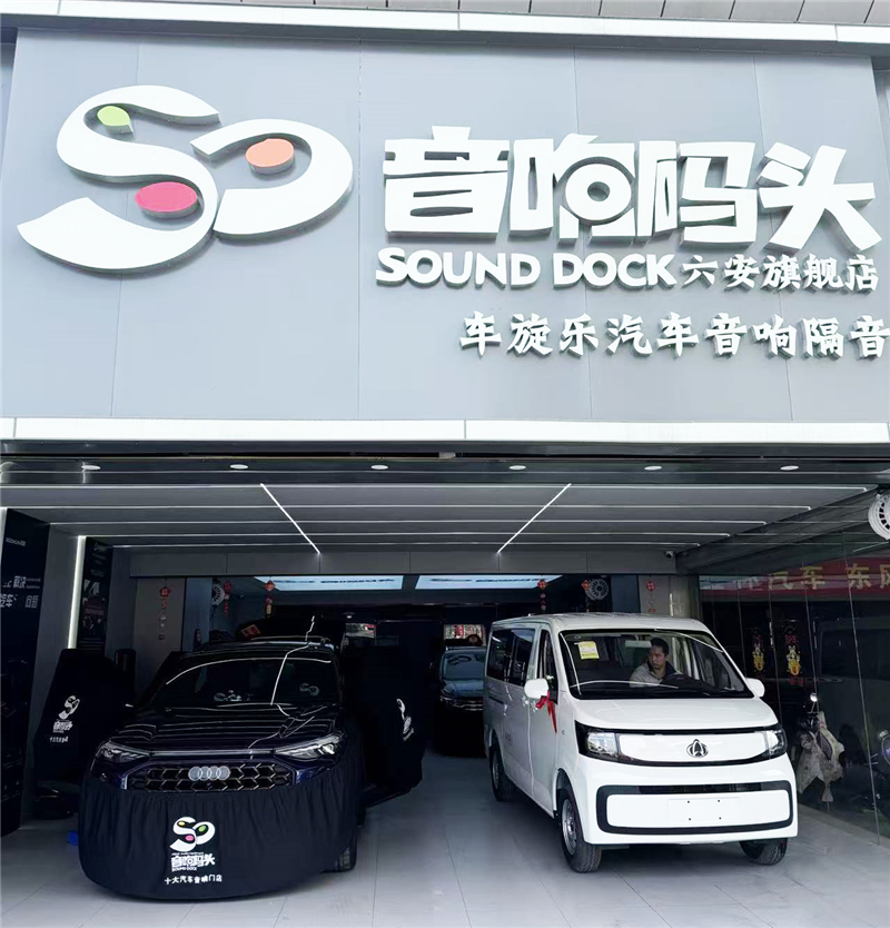 音响码头安徽六安旗舰店车旋乐：专业声学艺术的卓越之选